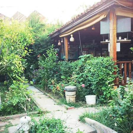 Tas 3* 시데